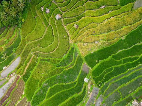 Aerial View Photography of Grass Field · Free Stock Photo