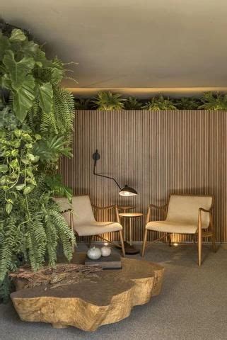 Renter Friendly Biophilic Decor Ideas To Bring Nature Into Your Home