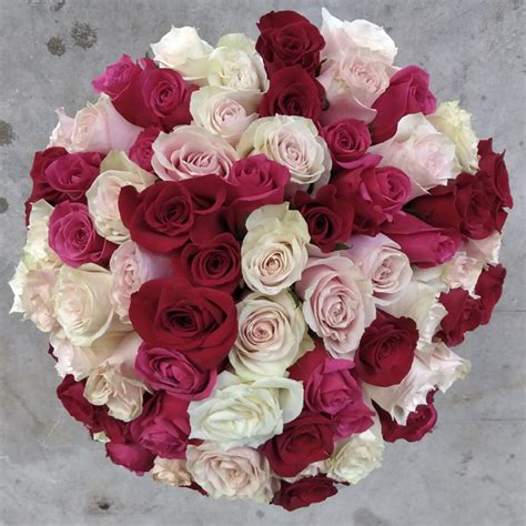 Red White And Pink Roses Bouquet | ubicaciondepersonas.cdmx.gob.mx