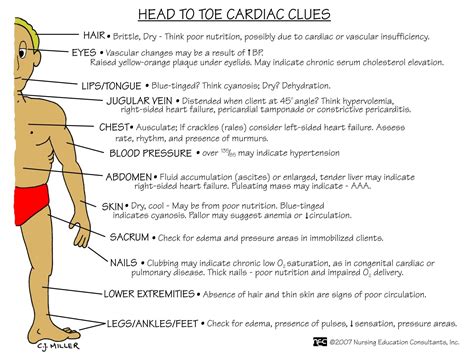 Nursing Health Assessment Mnemonics And Tips School Medical And Nclex