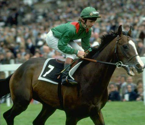 "There Was Blood Everywhere": What Really Happened To Shergar