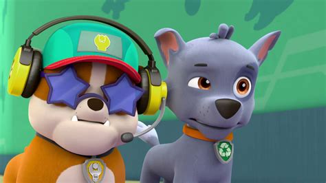 Rocky Gallery Pups Save Chicken Day Paw Patrol Wiki Fandom