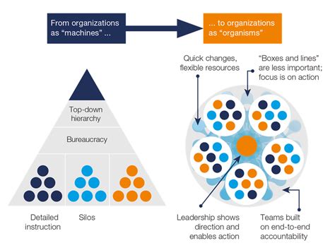 The Five Trademarks Of Agile Organizations De Mckinsey