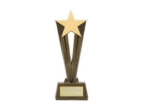 Brass Star Award Trophy at best price in Nagpur | ID: 2849324193562