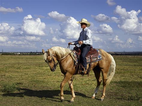 Free Images Landscape Rope Country Ranch Usa Stallion Hat