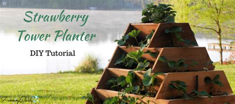 Strawberry Tower Planter Diy Tutorial Fanningsparks