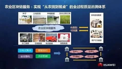 阿里、华为、五常大米都在做的农业区块链，厉害在哪？ 技术