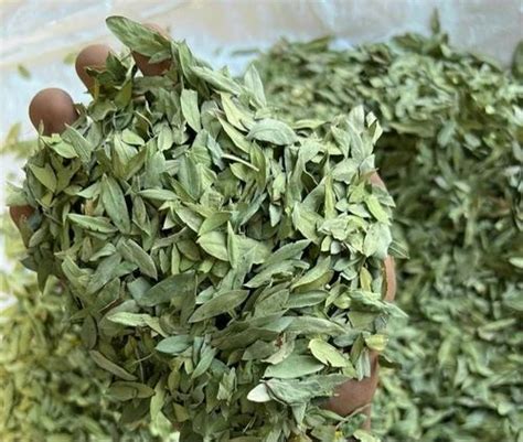 Senna Leaves Dry Grade Medicine Grade Packaging Size 500 G At 50