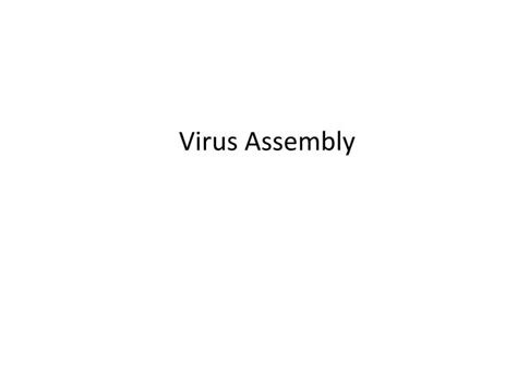 PPT - Virus Assembly PowerPoint Presentation, free download - ID:2274587