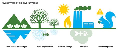 Biodiversity and climate change: A joint challenge | Barclays Private Bank