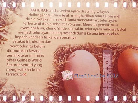 Telur Apakah Terbesar Di Dunia Fizalinolie