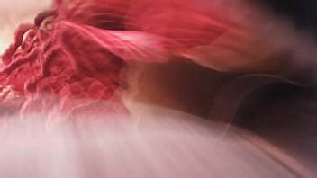 Cholitas Grabadas Bajo Falda XVIDEOS