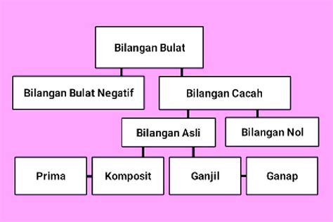 Mengenal Macam Macam Bilangan Beserta Pengertian Dan Contohnya Hot