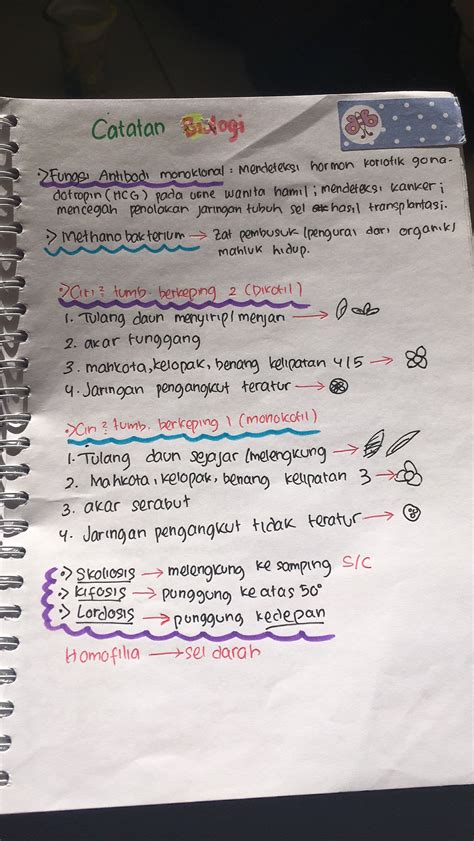 Ringkasan Materi Ipa Kelas Materi Soal