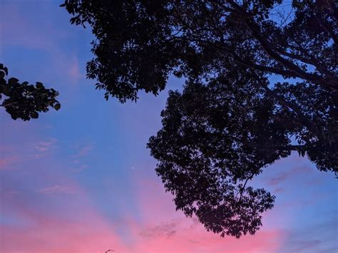 Milenis Carrera Atardeceres Ama Nacer