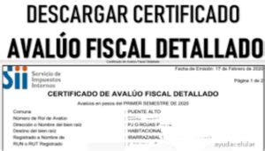 Cómo Sacar El Certificado de Avaluó Fiscal