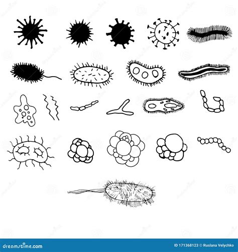 Set Bacteria Microbes And Viruses Microorganisms Isolated On White