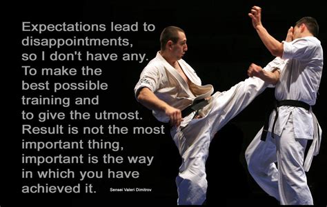 KARATE QUOTES image quotes at relatably.com