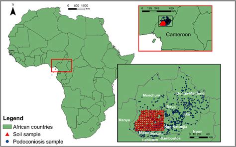 Map Of Africa With Two Inset Maps Of Cameroon The Inset Map Shows The