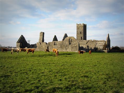 Clare Abbey, Ennis. County Clare 1195 - CURIOUS IRELAND