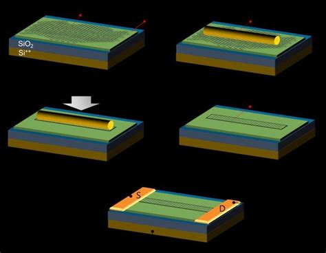 Schematic Of The Gnr Device Fabrication A Exfoliated Monolayer