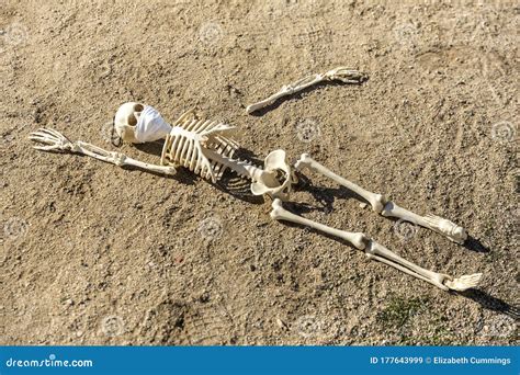 Broken Child Skeleton Wearing A Mask Lying On The Ground In A Park