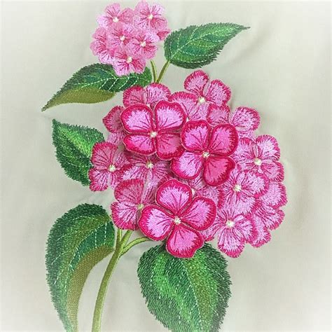 Machine Embroidery Design Hydrangea Flower Set Floral Etsy