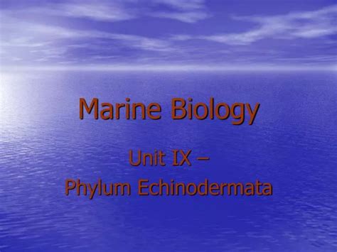 Ppt Marine Biology Powerpoint Presentation Free Download Id5671598