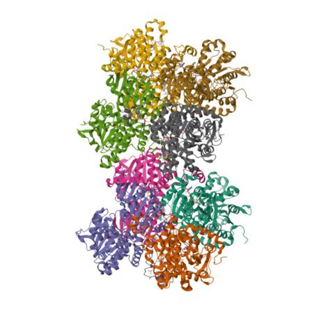 Rcsb Pdb Cfy Crystal Structure Of S Adenosyl L Homocysteine