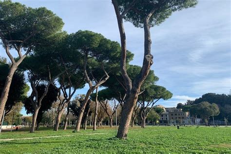 Roma Grande Successo Per La Giornata Di Sport Senza Barriere Al Parco