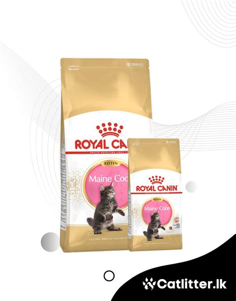 Royal Canin Maine Coon Kitten Dry Food Catlitter Lk