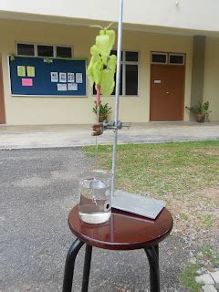 PANITIA BIOLOGI SMKASR: Transpiration Experiment - Potometer