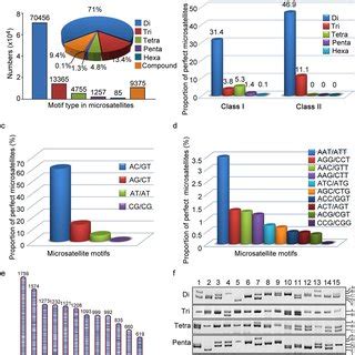 Percentage Distribution Of Microsatellites With Different Motif Types