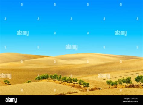 sloping path  res stock photography  images alamy
