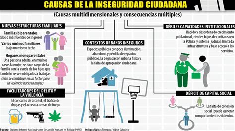 Tuerto Pero Veo Todo Inseguridad Ciudadana Causas