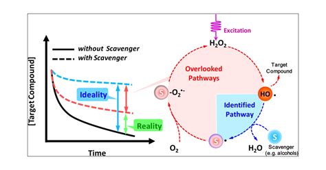 Overlooked Formation Of H2o2 During The Hydroxyl Radical Scavenging