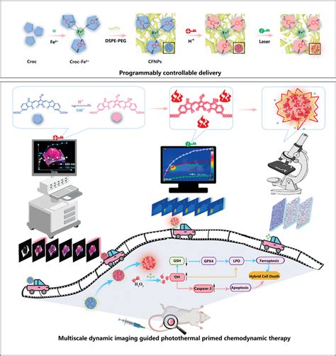 Schematic Illustration Of Programmably Controllable Delivery Of