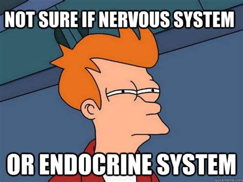 Not Sure If Nervous System Or Endocrine System Futurama Fry Quickmeme