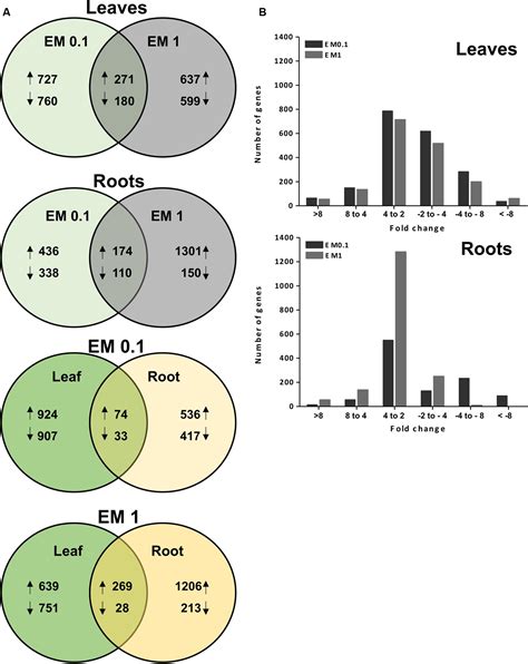 Frontiers Transcriptome Wide Identification Of Differentially