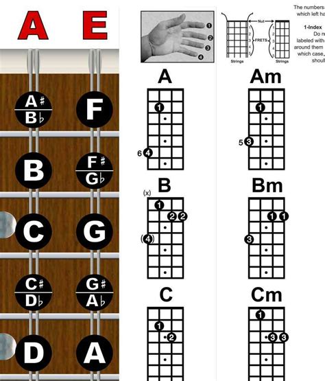 Mandolin Easy Chord And Fretboard Grelly Usa