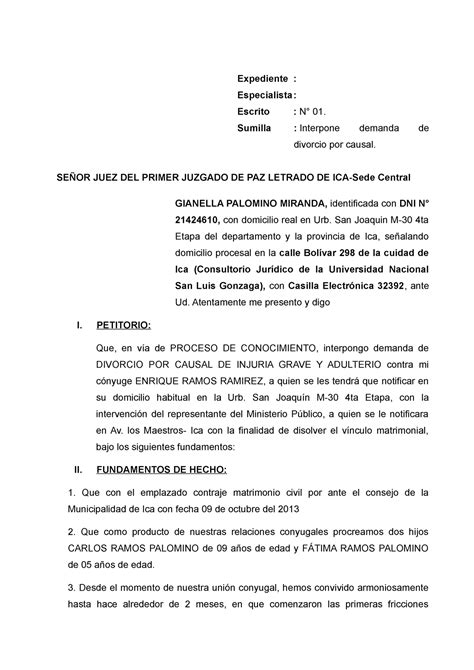 Demanda De Divorcio Por Causal Expediente Especialista Escrito