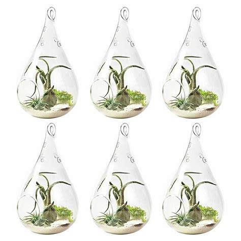 6pcs Home Garden Clear Hanging Vase Glass Teardrop Terrarium Air Plant