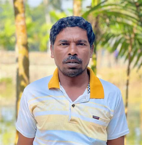 nzn vai