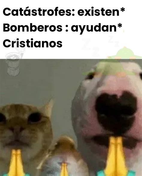 Los Últimos Memes :) Memedroid