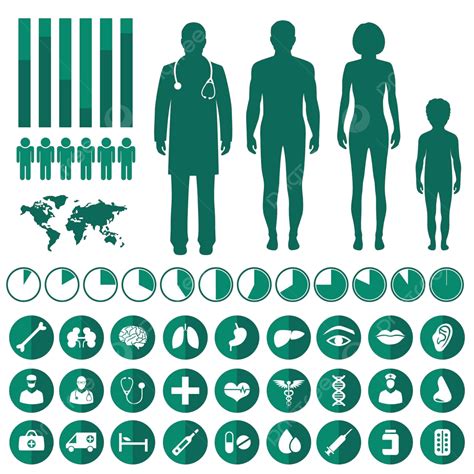 Vector Medical Infographicicons Infographic Heart Symbol Vector