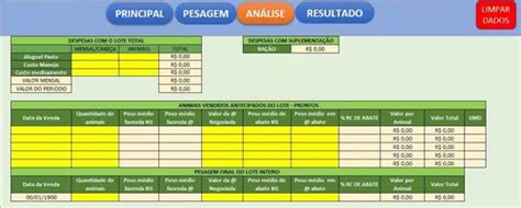 Planilha De Recria E Engorda De Gado De Corte à venda em Cascavel