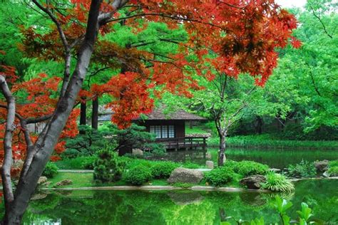 Fort Worth Japanese Garden