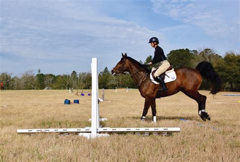 The 5 Phases of Jumping - From the Magazine Horse Illustrated