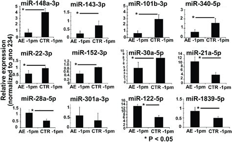 Mirnas Expression Validation By Stem Loop Rt Qpcr Relative Mirna