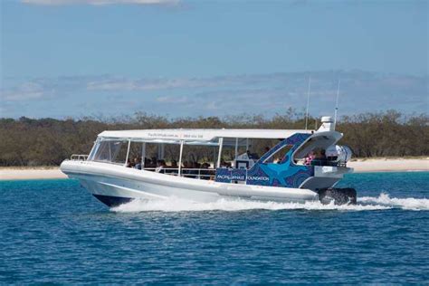 Hervey Bay Ultimate Whale Watching Experience GetYourGuide